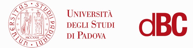 Università di Padova logo